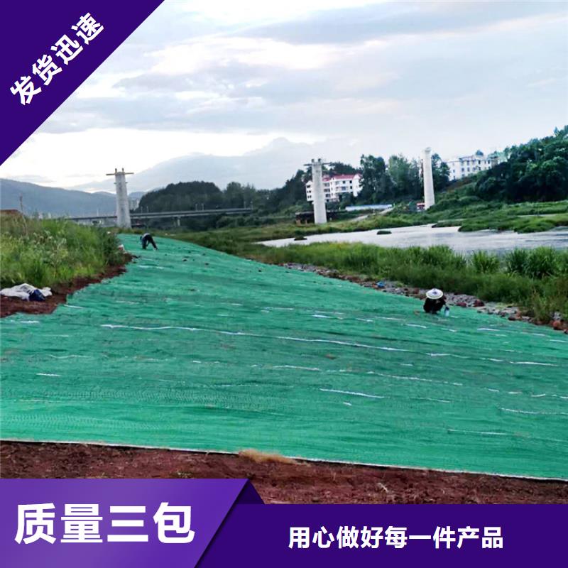 椰丝毯_双向塑料土工格栅实力才是硬道理