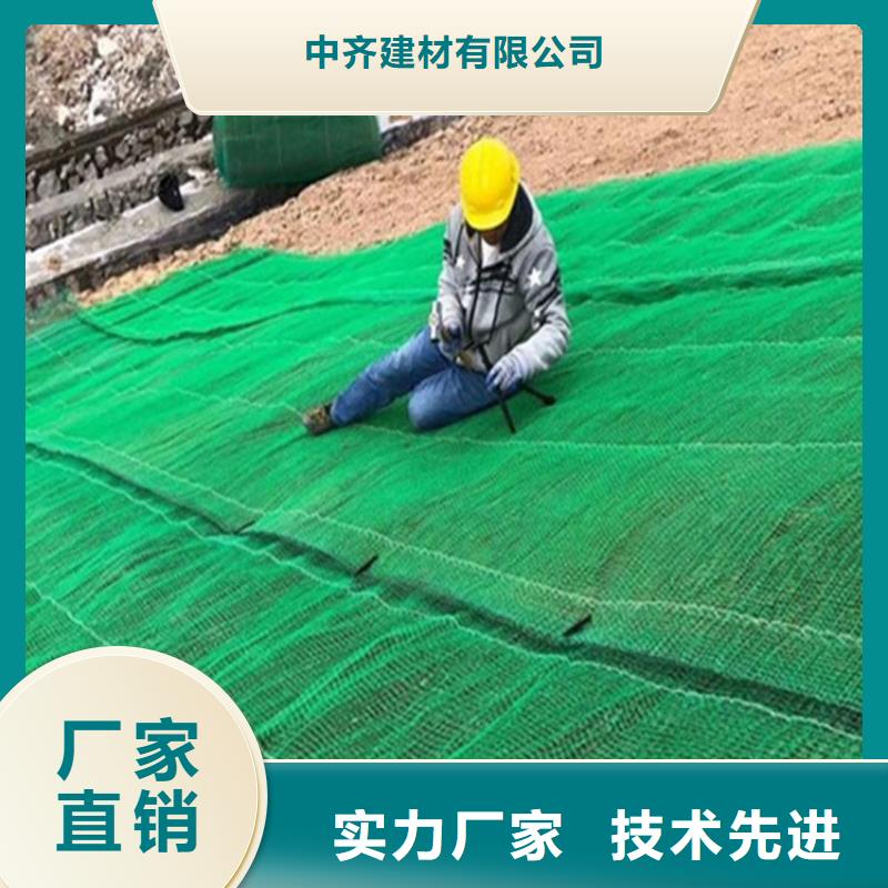加筋抗冲生态毯抗冲植物毯