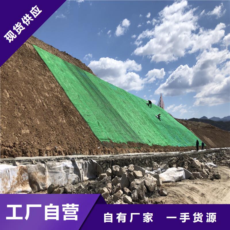 植物纤维毯加筋复合生态草毯