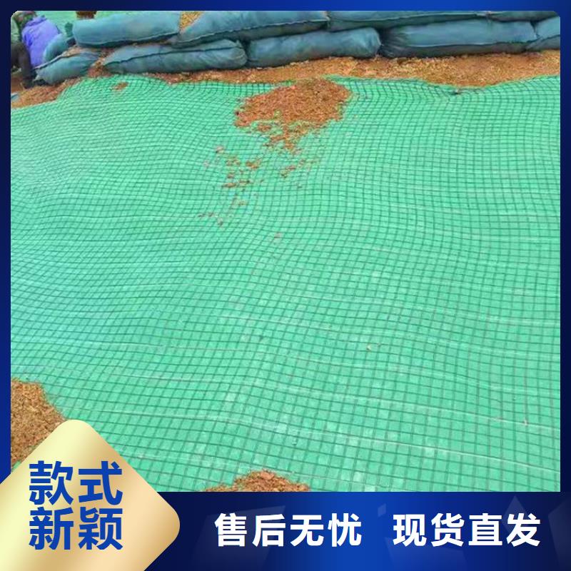 植被毯水保抗冲生态毯