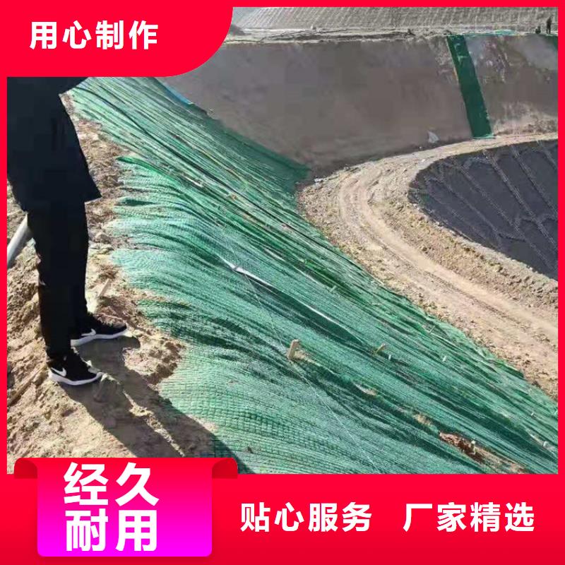 生态护坡草毯