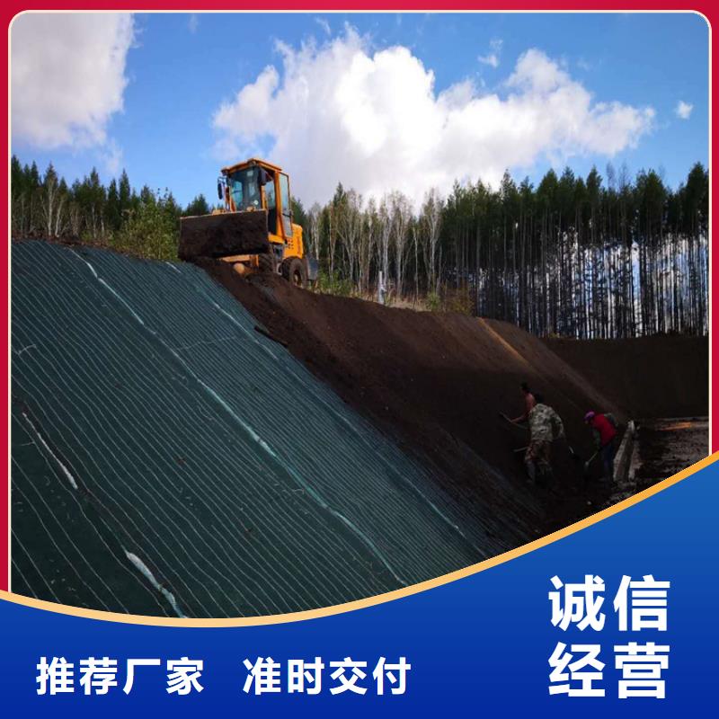 加筋植物纤维毯
