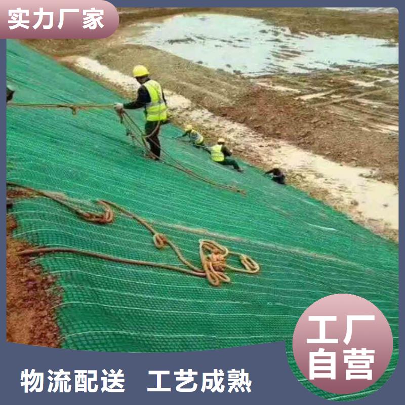 水保抗冲生物毯批发量大从优