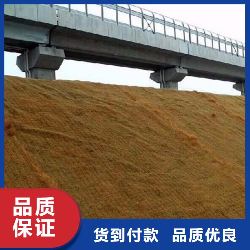 陵水县水保椰丝毯厂家