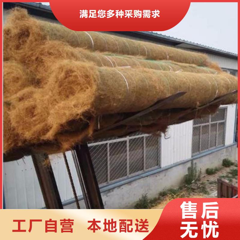 护坡植被植草毯量大可定制