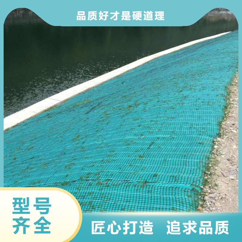 植物纤维毯加筋抗冲生态毯