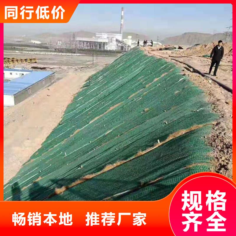 生态植物防护毯护坡植被植草毯