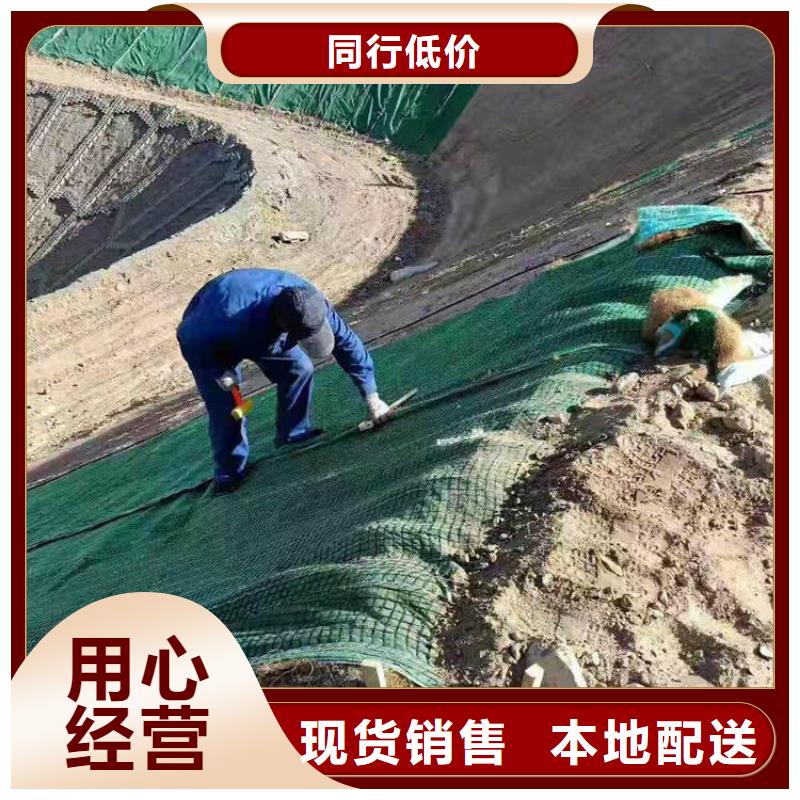 生态植物防护毯加筋抗冲生态毯