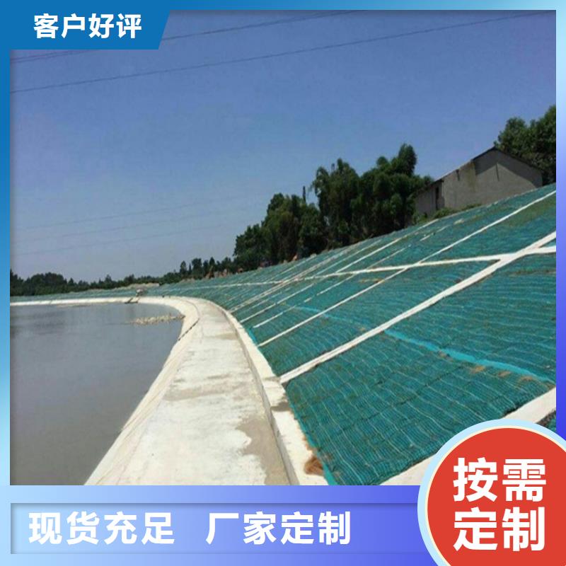 椰丝毯,土工膜实力派厂家