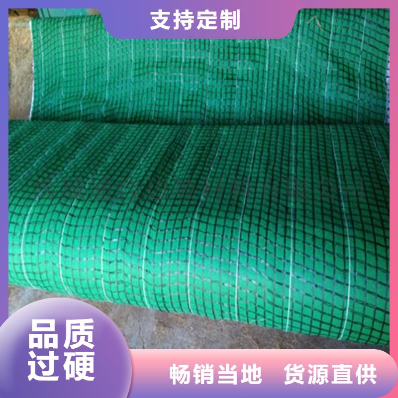 椰丝纤维毯护坡植生毯