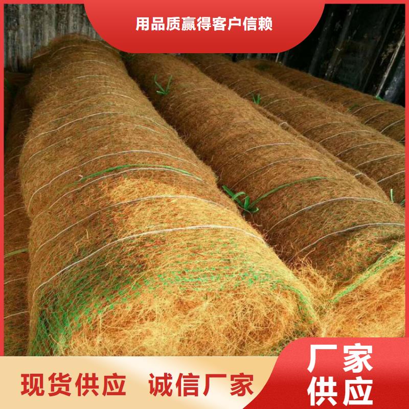 生态植物防护毯护坡植被植草毯