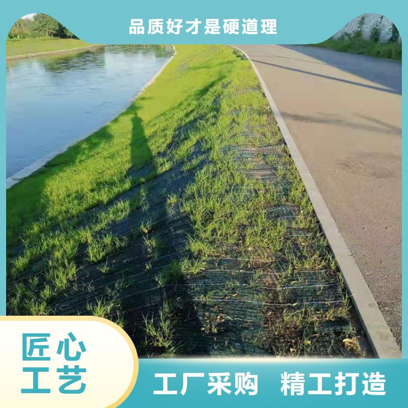 护坡植物纤维毯
