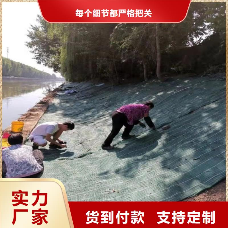 植物纤维毯植物生态垫