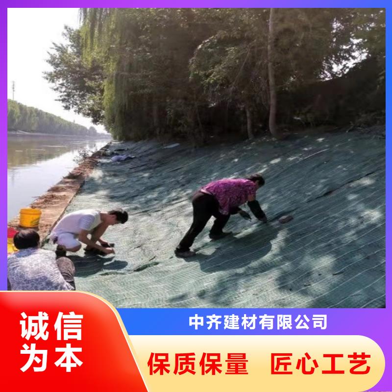 生态植物防护毯护坡草毯