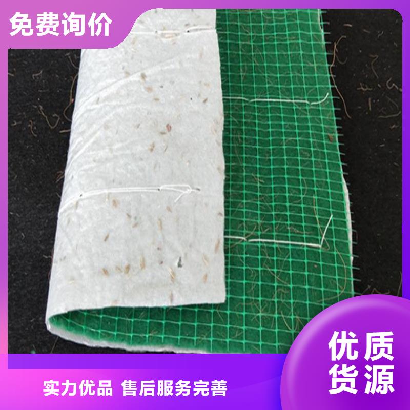 生态植物防护毯护坡草毯
