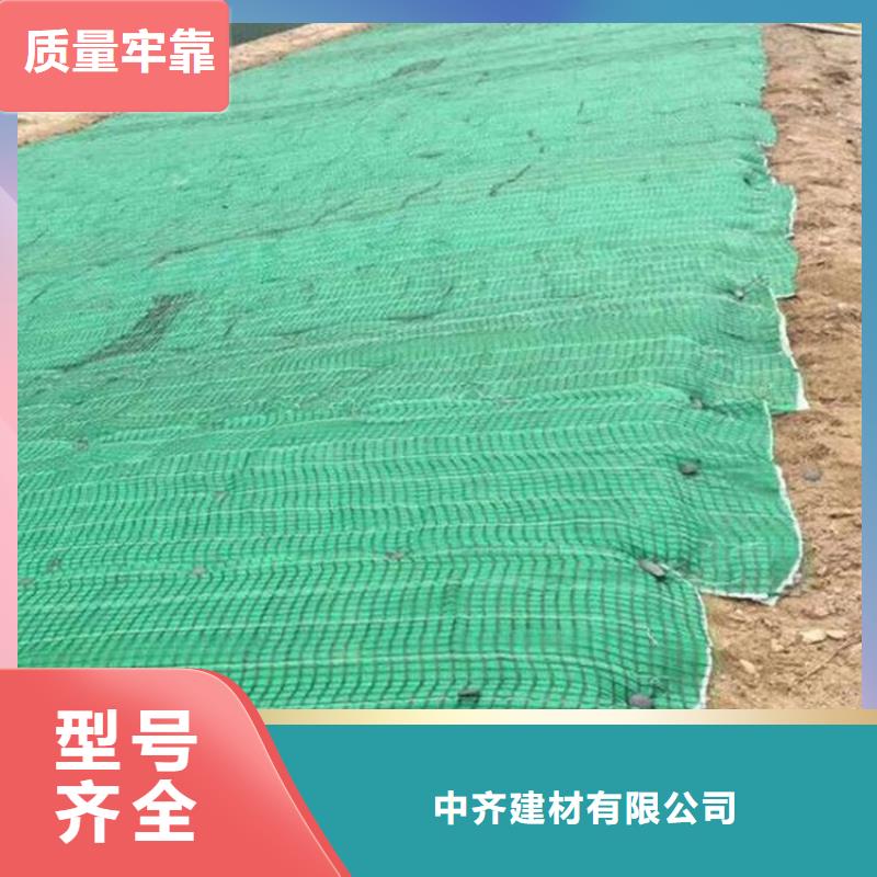 植被毯水保抗冲生态毯