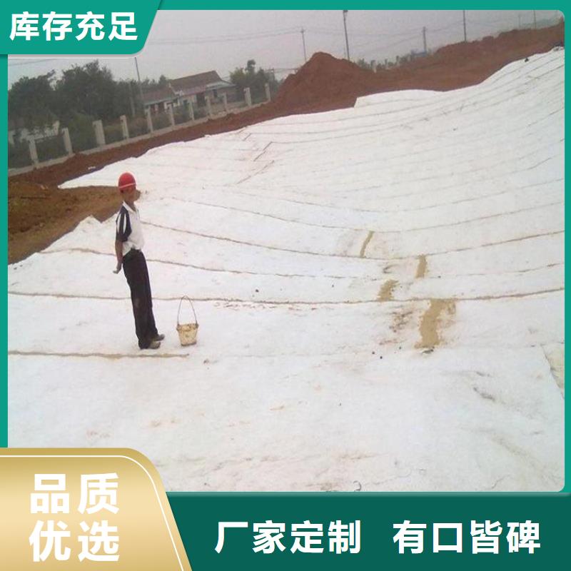 膨润土防水垫GCL5000gPE覆膜型防水垫