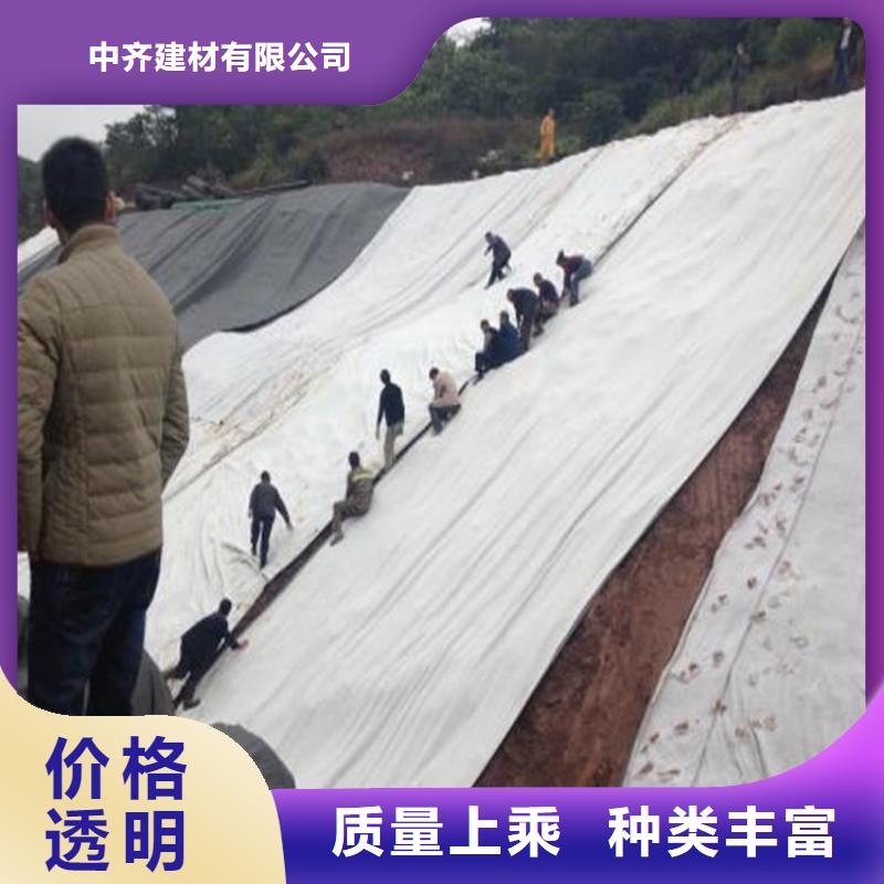 钠基膨润土防水垫5mm复合防水垫