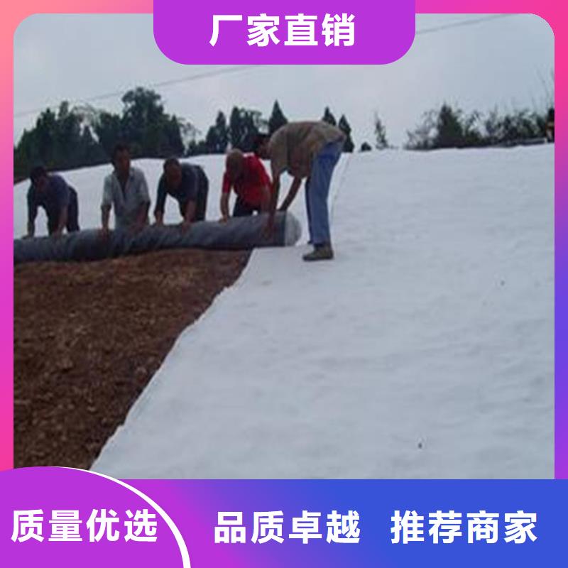 垃圾场膨润土防水毯发货快