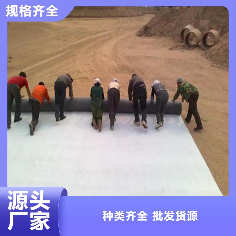 钠基膨润土防水垫5mm复合防水垫