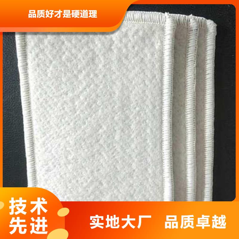 膨润土防水毯土工膜专业生产品质保证