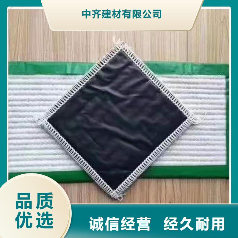 钠基膨润土防水垫5500g天然钠基防水垫