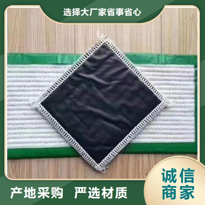 膨润土防水毯_土工膜专注产品质量与服务