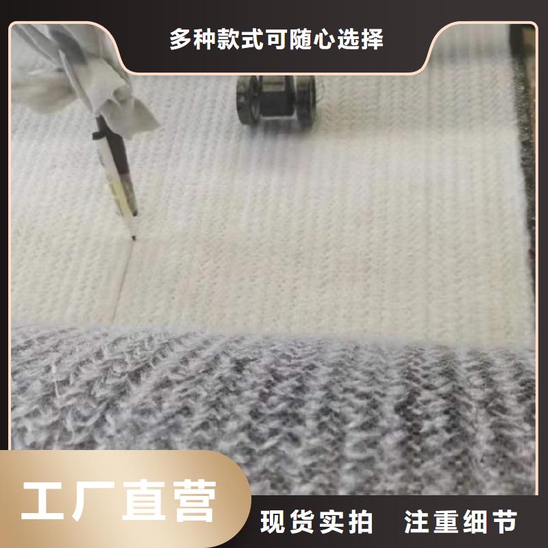 膨润土防水毯_土工膜专注产品质量与服务