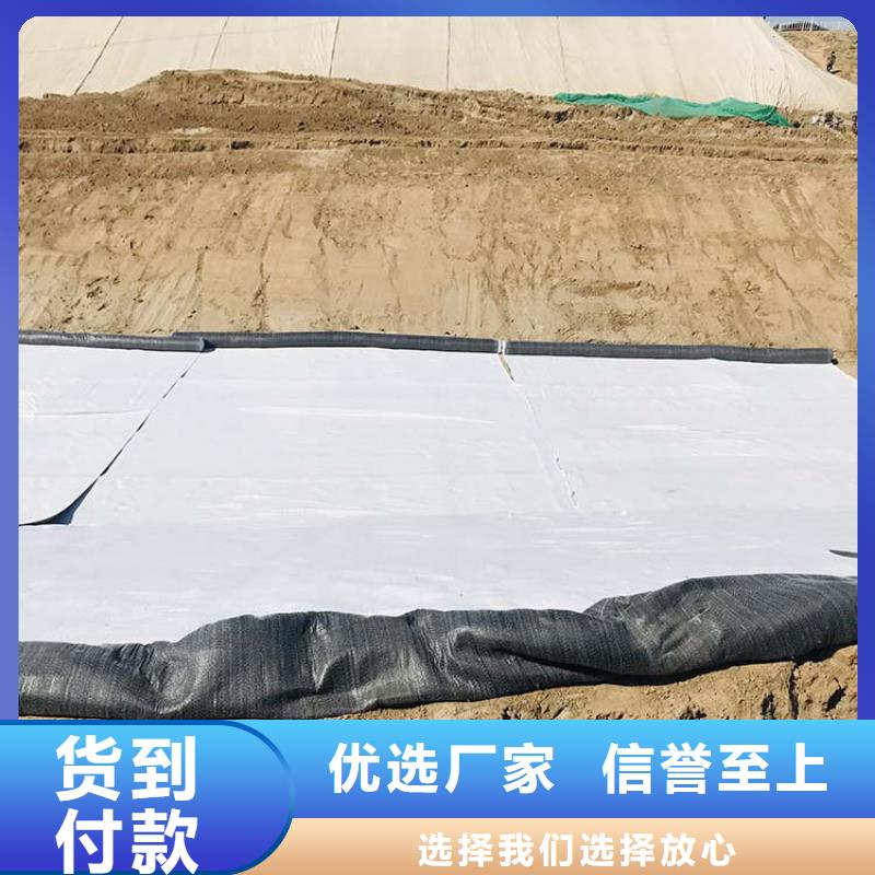 膨润土防水毯防裂贴质量优价格低