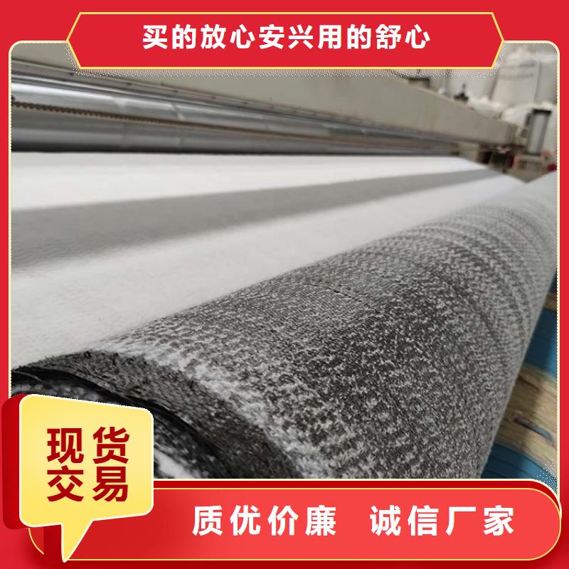 膨润土防水毯防渗膜规格型号全