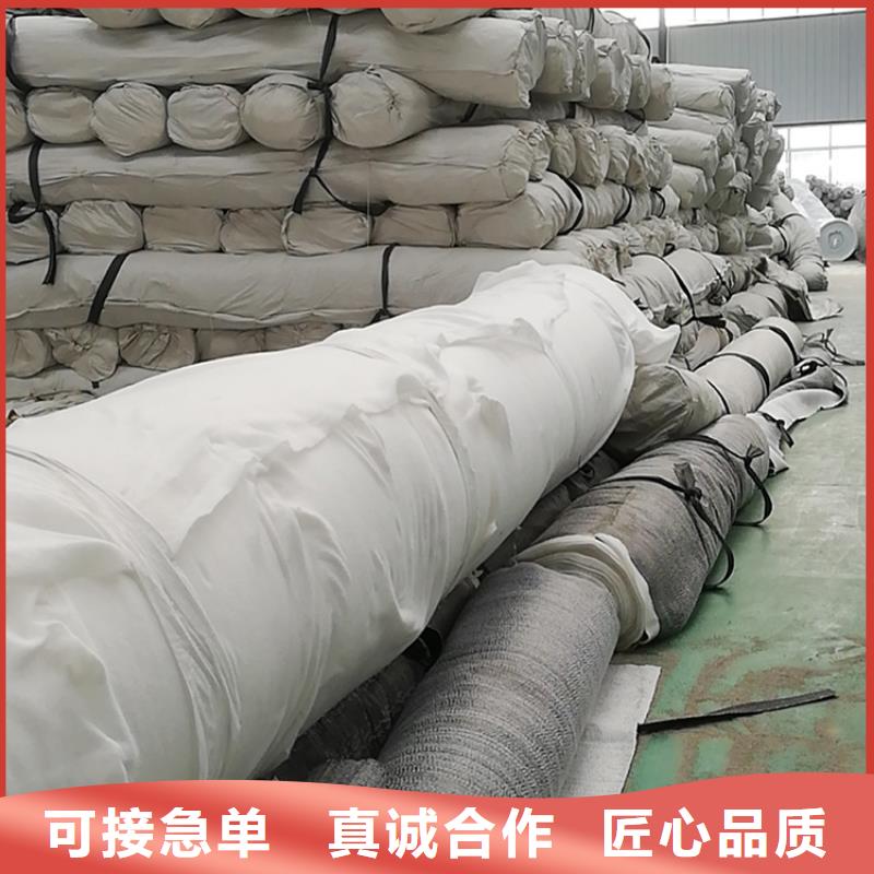 膨润土防水垫GCL5000gPE覆膜型防水垫