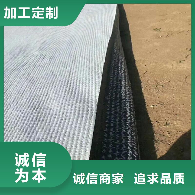 膨润土防水毯厂家资讯