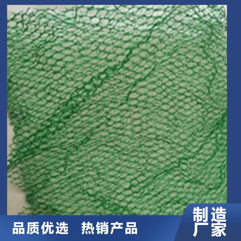 三维固土网垫新闻资讯
