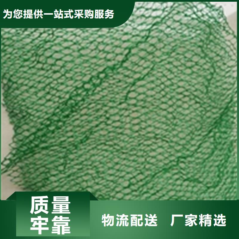 护坡EM4三维土工网垫