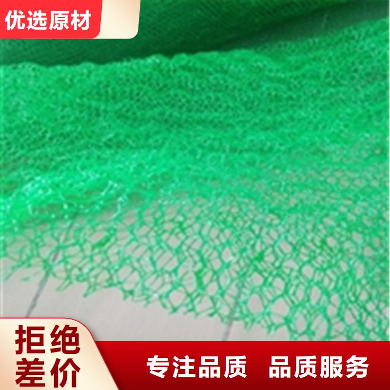 护坡EM4三维土工网垫