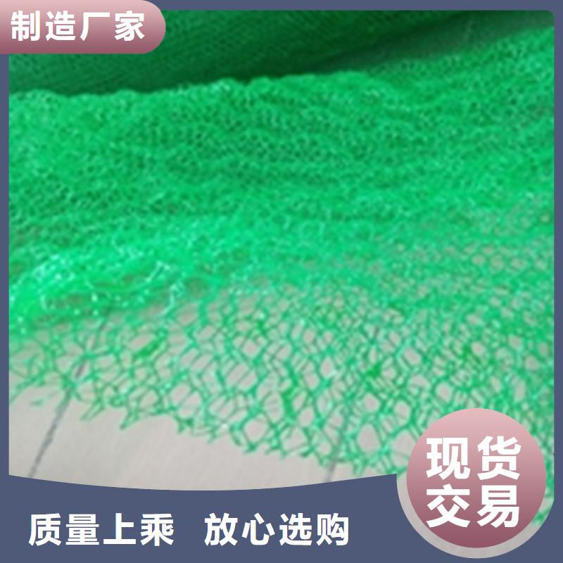 三维固土网垫新闻资讯