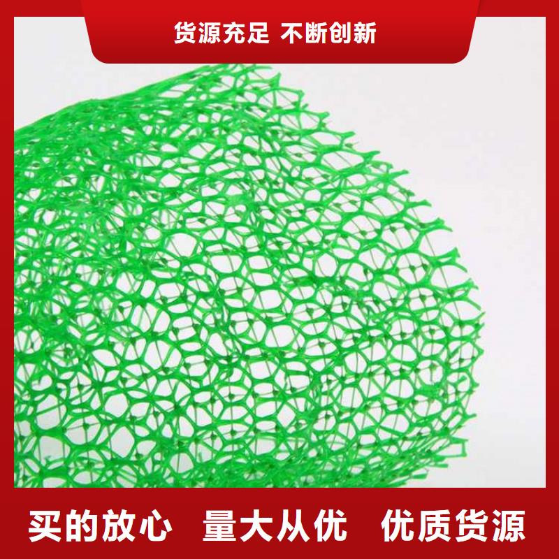 护坡固土三维植被网
