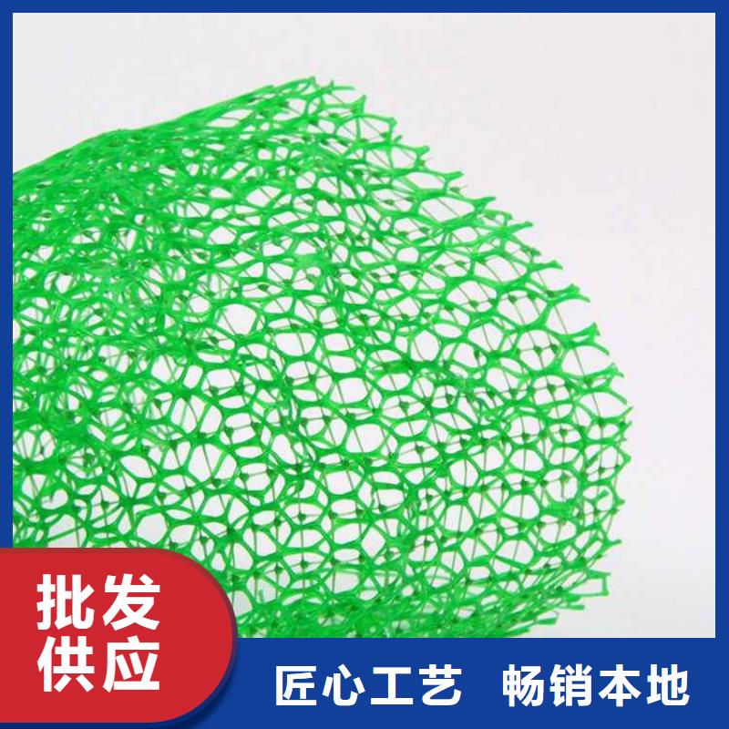三维植被网塑料盲沟快捷的物流配送