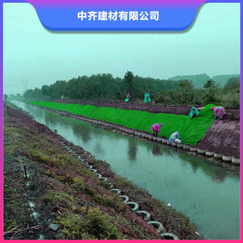 三维植被网防裂贴品牌大厂家