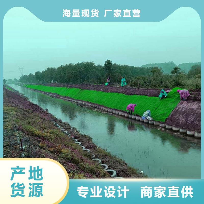 固土加筋三维植被网