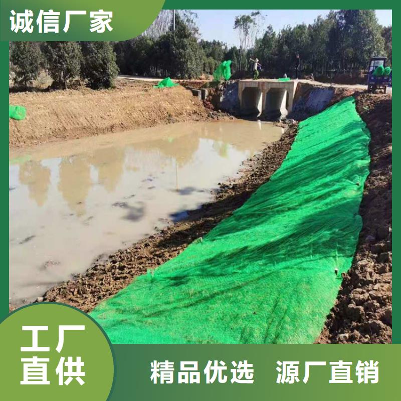 三维植被网防裂贴售后无忧