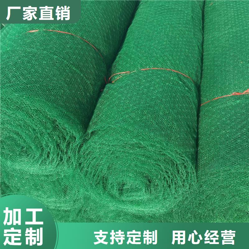固土加筋三维植被网