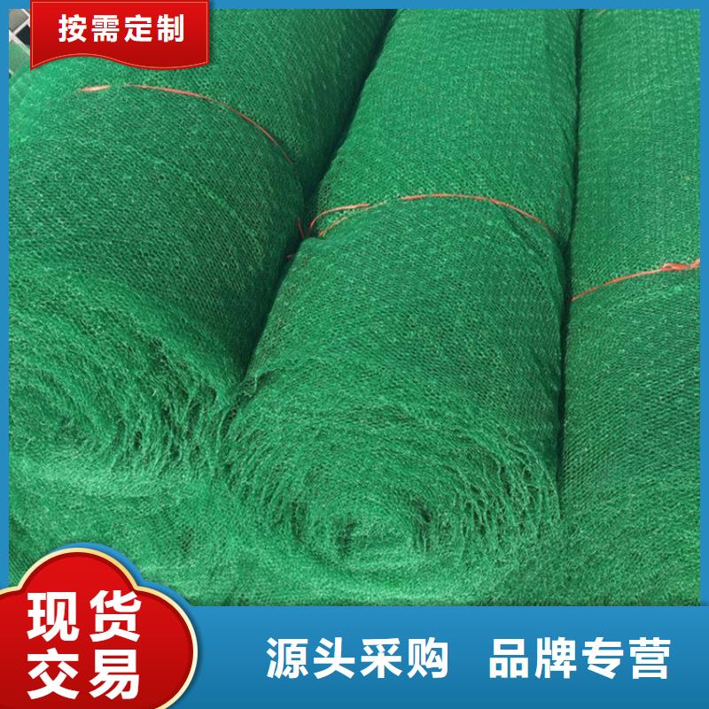 三维植被网土工网垫品质服务诚信为本