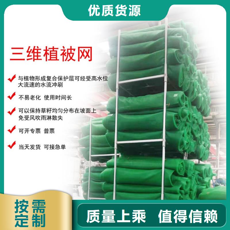 EM2固土三维植被网