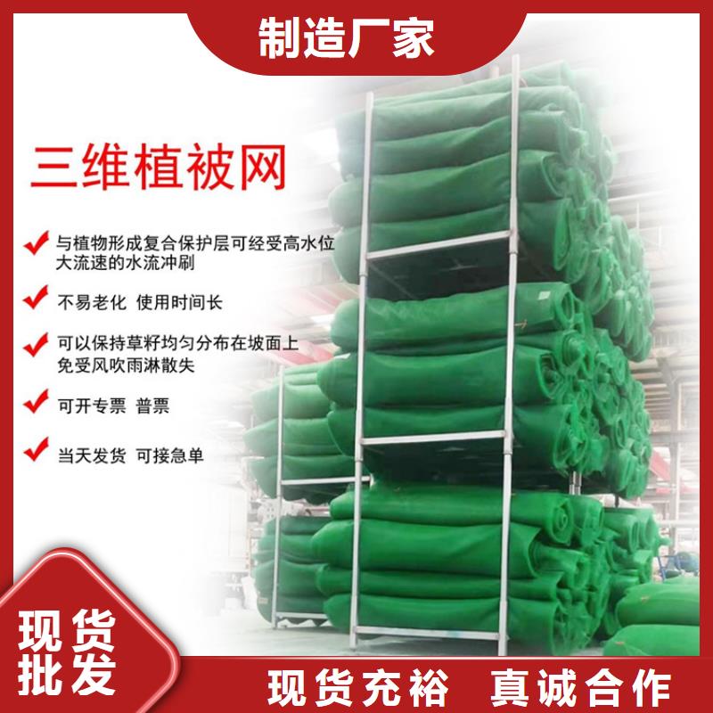护坡EM4三维土工网垫