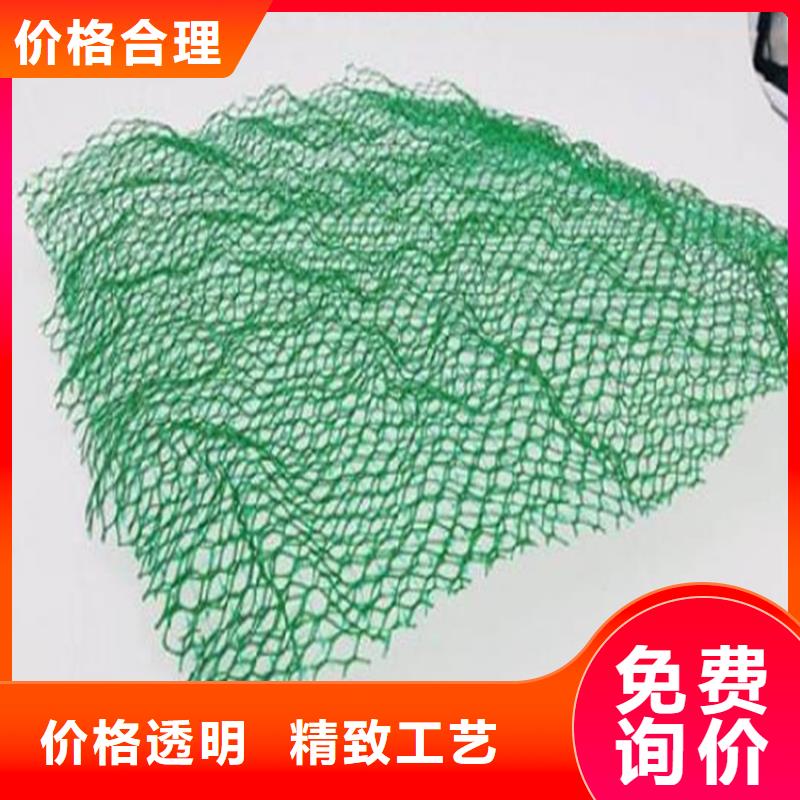 三维植被网双向土工格栅严格把控每一处细节