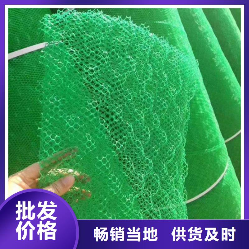 护坡EM4三维土工网垫
