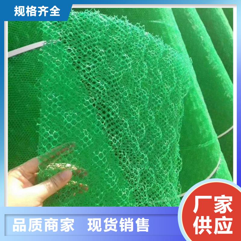 草皮EM3三维植被网