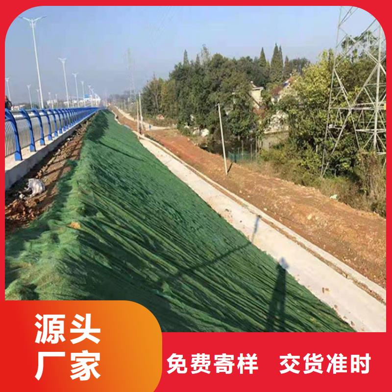 三维固土网垫供应