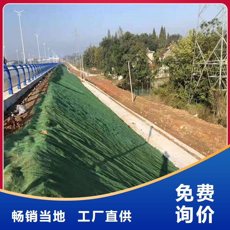 三维植被网土工网垫品质服务诚信为本